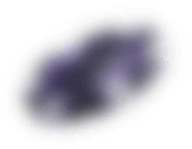 chip1