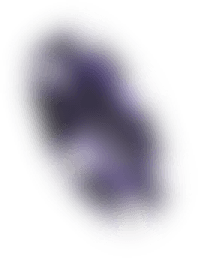 chip2